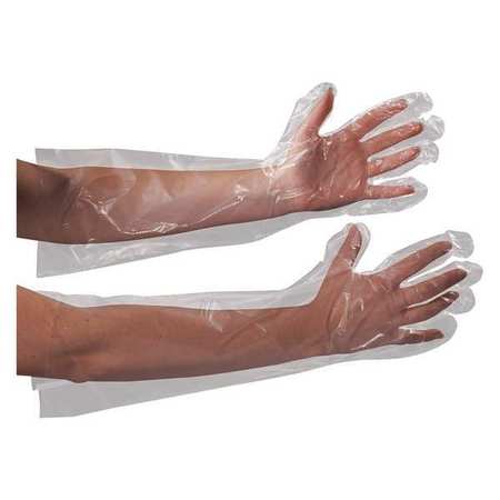 PARTNERS BRAND Disposable Gloves, 1.00 mil Palm, Polyethylene, Universal, 100 PK, Clear GLV2221