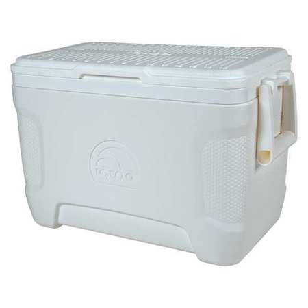 Igloo Chest Cooler, Container Storage, 25 qt. 49644