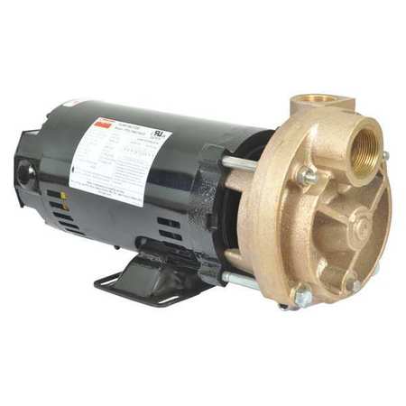 Dayton Turbine Pump, 3/4 HP, 208-230 to 460V 53EA97