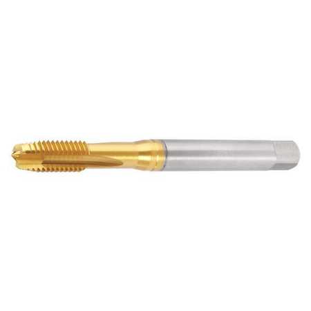 WIDIA Spiral Point Tap Plug, 4 Flutes GT005011