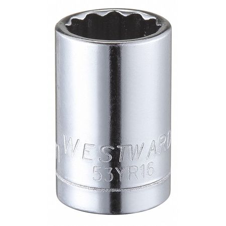 Westward 1/4 in Drive, 10mm Triple Square Metric Socket, 12 Points 53YR16