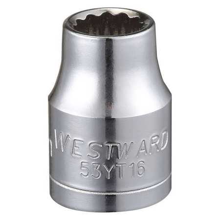Westward 3/8 in Drive, 8mm Triple Square Metric Socket, 12 Points 53YT16