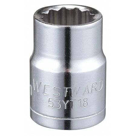 Westward 3/8 in Drive, 10mm Triple Square Metric Socket, 12 Points 53YT18