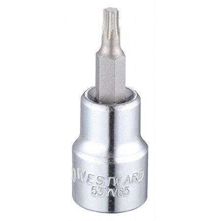 Westward 3/8 in Drive Torx(R) Socket Bit Torx(R) T20 Tip, 1 13/16 in L 53YV85