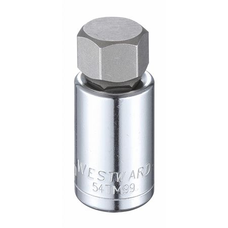 1/2 in Drive Hex Socket Bit Metric 19 mm Tip, 2 1/4 in L -  WESTWARD, 54TM99