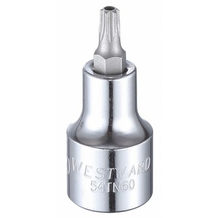 Westward 1/2 in Drive Tamper Resistant Torx(R) Socket Bit SAE T30 Tip, 2 1/4 in L 54TN60