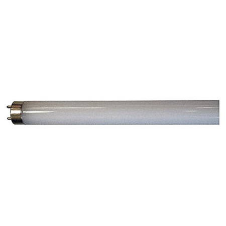 SHAT-R-SHIELD LED, 13 W, T8, Medium Bi-Pin (G13) 06658E