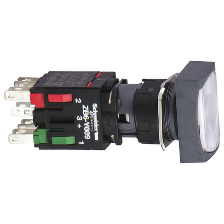 SCHNEIDER ELECTRIC Illuminated Push Button, 16 mm, 1NO, White XB6DW1B1B