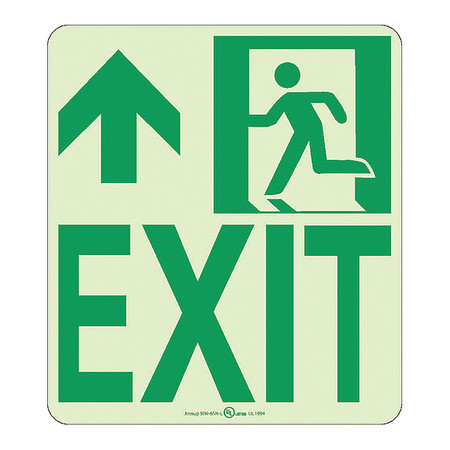 NMC Nyc Wall Mont Exit Sign, Forward/Left Side, 9X8, Rigid 50R-6SN-L