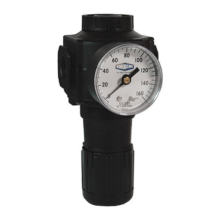 DIXON Standard Regulator, w/ Gauge, 3/4" R74G-6RG