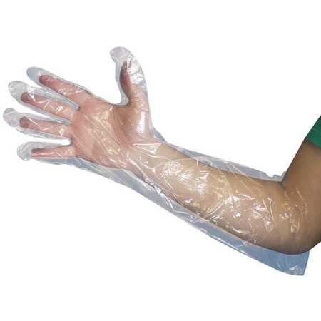 AGRI PRO ENTERPRISES Poly Disposable Gloves, 1 mil Palm Thickness, Poly, One Size Fits All, 100 PK 429650