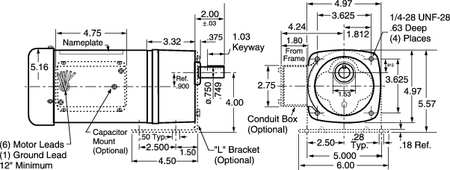 Dayton AC Gearmotor, 310.0 in-lb Max. Torque, 5 RPM Nameplate RPM, 115/230V AC Voltage, 1 Phase 096026.00