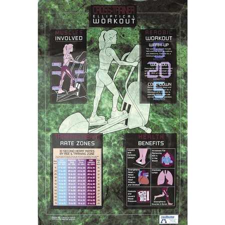 Promaxima Exercise Posters, Set of 3 CV-CHART