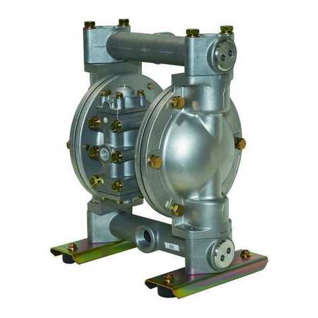 DAYTON Double Diaphragm Pump, 316 Stainless Steel, Air Operated, Santoprene 6PY48