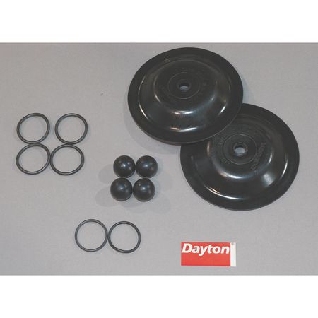 DAYTON Pump Repair Kit, Fluid 6PY66