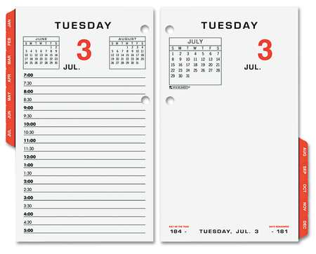 AT-A-GLANCE 3-1/2x6 Daily Desk Calendar Refill, White AAGE01750
