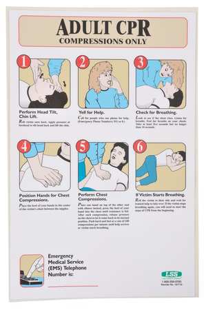 ACCUFORM First Aid Poster, 17 x 11 in, English 197718