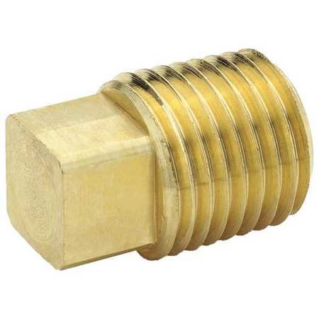 PARKER Square Head Plug, Brass, 1/2 in, MNPT 211P-8