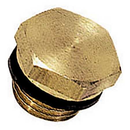 LEGRIS Brass Hex Head Plug, Male BSPP 0220 13 00