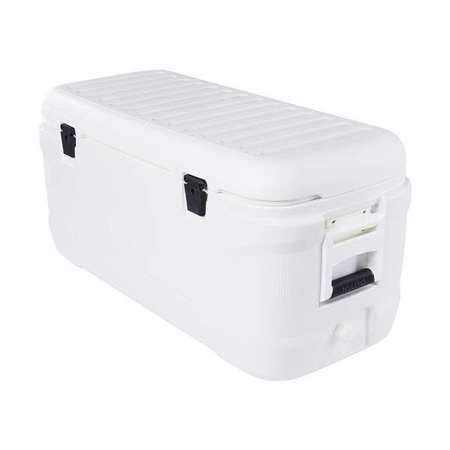 IGLOO Cooler, 120qt., White, Plastic 50073