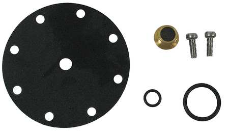 WATTS Pilot Rebuild Kit, for use with G3494845 CP15RK