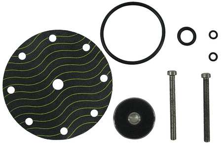 WATTS Pilot Rebuild Kit, for use with G2232711 CP16RK
