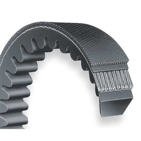 Dayton BX59 Cogged V-Belt, 62 in Outside Length, 21/32 in Top Width, 13/32 in Thick, 1 Rib, 6L275 6L275