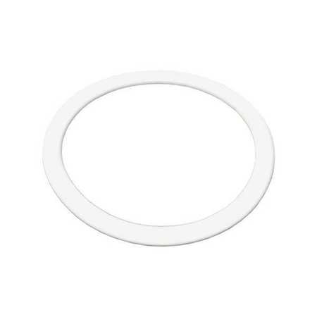 BENCHMARK SCIENTIFIC Replacement Gasket, 25 mL IPD9600-25G