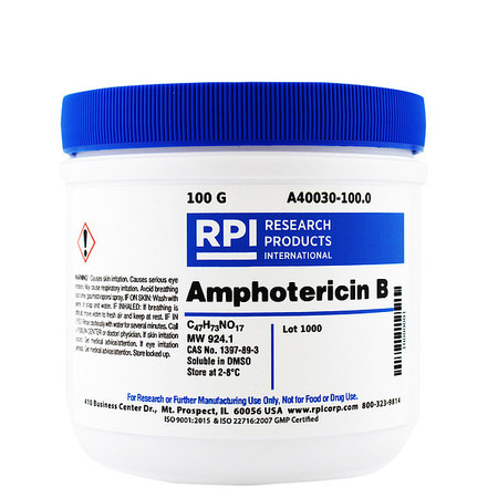 RPI Amphotericin B, 100g A40030-100.0