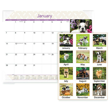 AT-A-GLANCE Monthly Desk Calendar, Puppies DMD166-32
