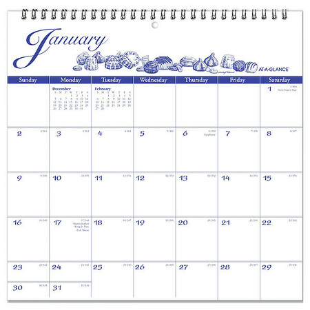 AT-A-GLANCE 12 x 11-3/4" Yearly Wall Calendar, Illustrator's Edit G1000-17