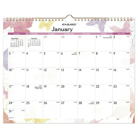 AT-A-GLANCE Monthly Wall Calendar, Watercolors PM91-707-14