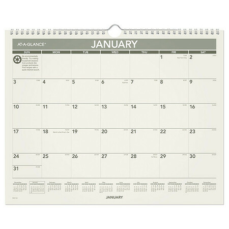 AT-A-GLANCE 15 x 12" Recycled Wall Calendar, Green Living AAGPMG7728