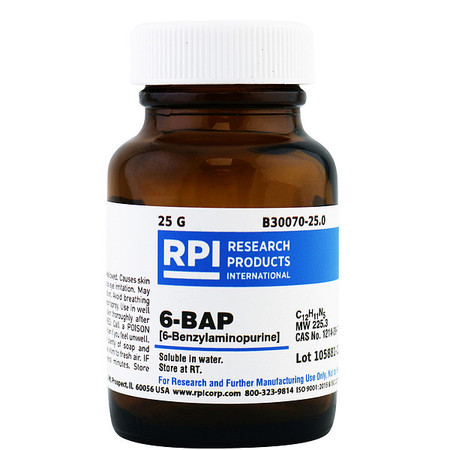 RPI 6-BAP (6-Benzylaminopurine), 25g B30070-25.0