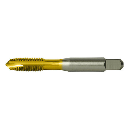 CLEVELAND TiCN Spiral Point Tap C55414