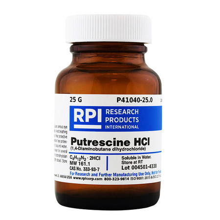 RPI Putrescine, Dihydrochloride, 25g, Powder P41040-25.0