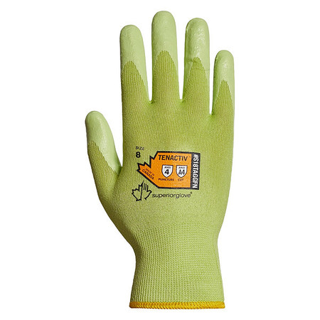 SUPERIOR GLOVE Cut-Resistant Gloves, Glove Size 10, PR S18TAGGFN10