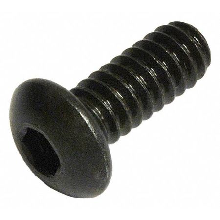 Zoro Select 1/4"-20 Socket Head Cap Screw, Black Oxide Steel, 1 in Length, 50 PK 25C100KBC