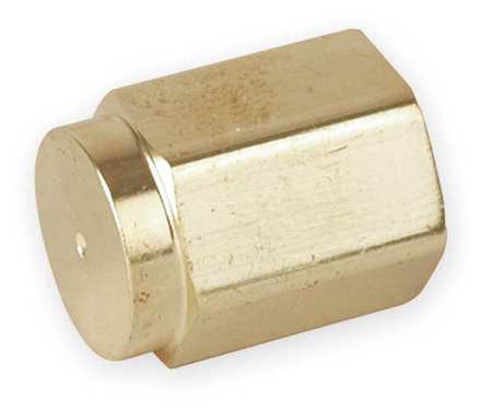 Parker Brass Pipe Fitting, FNPT, 1/4" Pipe Size 4 CP-B