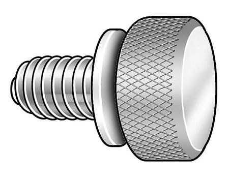 Zoro Select Thumb Screw, #8-32 Thread Size, Plain 18-8 Stainless Steel, 5/32 in Head Ht, 1 in Lg, 5 PK WFTSSS9