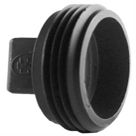 Zoro Select Cleanout Plug, 2 In MNPT 1WJE2