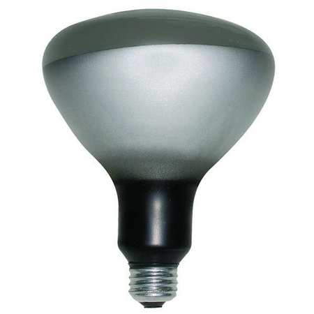 Current GE LIGHTING 250W, R40 Incandescent Heat Light Bulb 250R40/4
