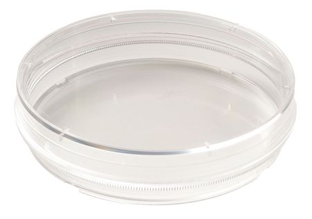 LAB SAFETY SUPPLY 100x20mm TC Treated Dish w/Grip, PK300 11L824