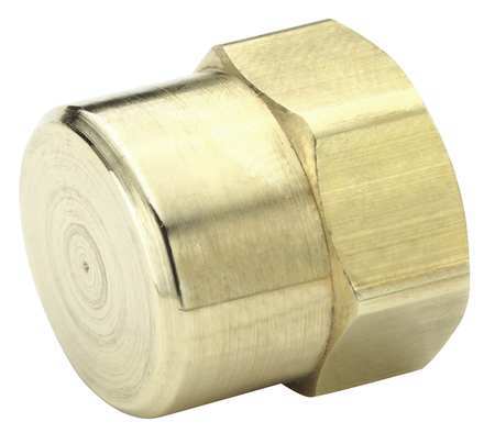 PARKER Brass Dryseal Pipe Fitting, FNPT, 1/8" Pipe Size 213P-2