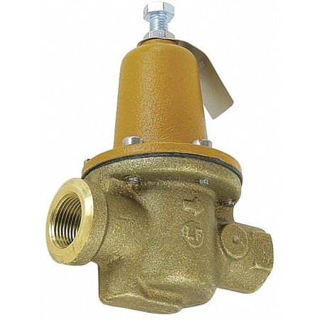 WATTS Backflow Check Valve, 3/4", 0 to 30 psi 0121225