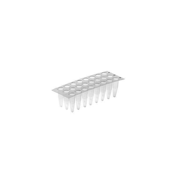 Simport Scientific Simport Amplate 24-Well Thin Wall, PK 50 T323-24N