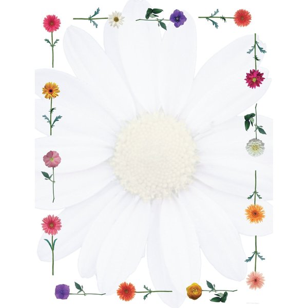 Great Papers Stationery Letterhead, Daisies, 8, PK80 2013178