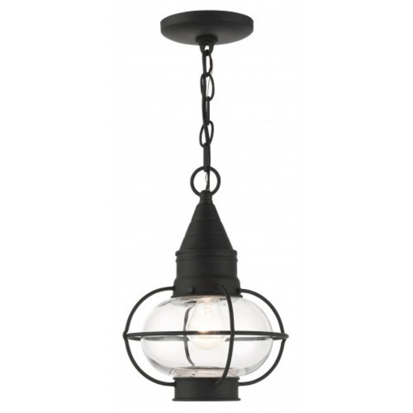 Livex Lighting Black Outdoor Pendant Lantern, 1 Light 26910-04