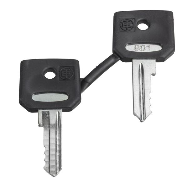Schneider Electric Key, Harmony XB4, Set of 2 keys, key 455 with one booted ZBG455P