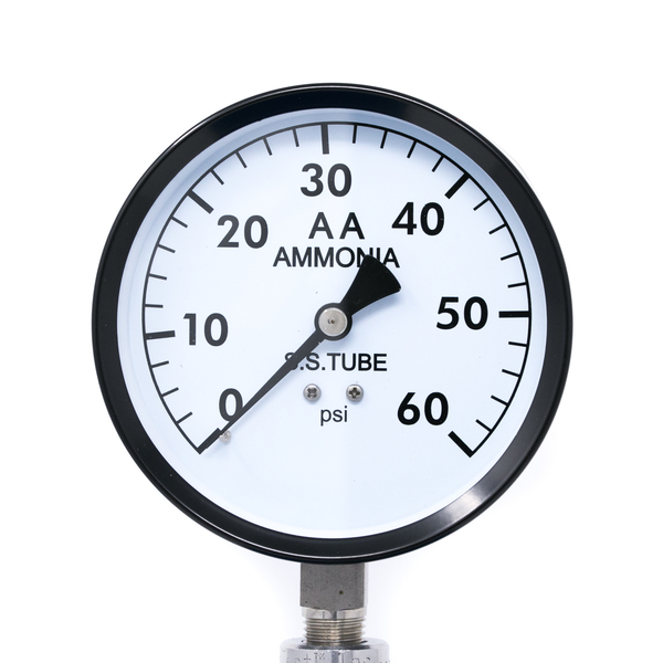 Pic Gauges Gauge, 4", 0-60 psi, Ammonia, 1/4"LM, SS 401A-404D